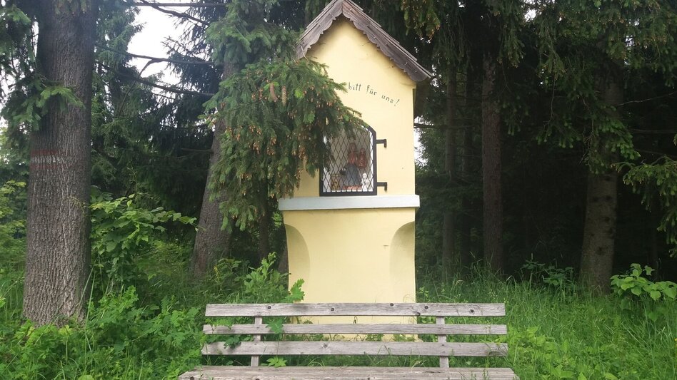 Wanderung Durch einen  schönen Hochwald (4) - Touren-Impression #2.12 | © Region Graz