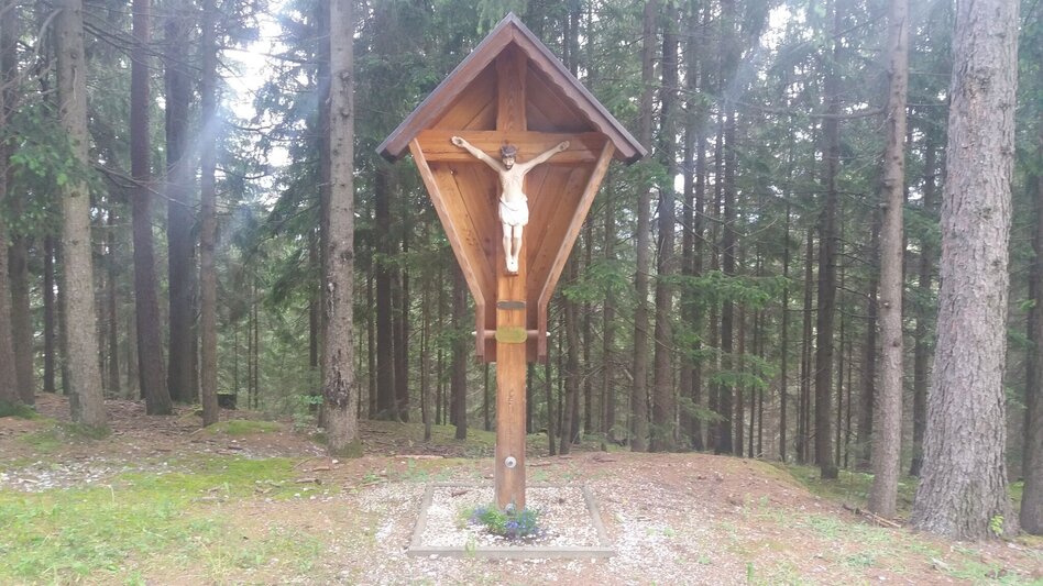 Wanderung Durch einen  schönen Hochwald (4) - Touren-Impression #2.13 | © Region Graz