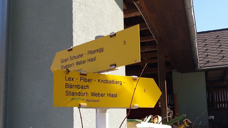 Wanderung Durch einen  schönen Hochwald (4) - Touren-Impression #2.14 | © Region Graz