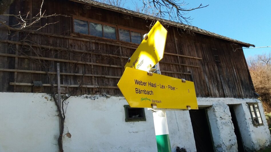 Wanderung Durch einen  schönen Hochwald (4) - Touren-Impression #2.15 | © Region Graz