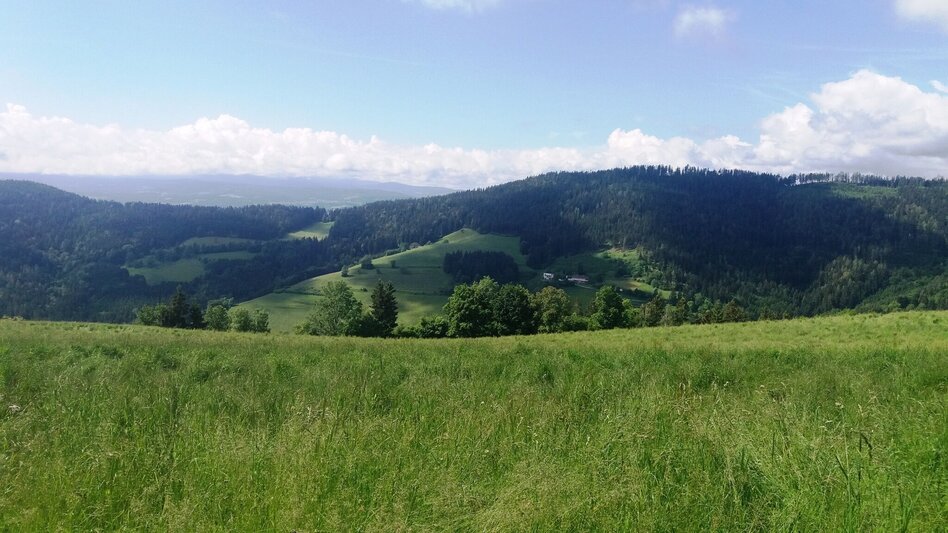 Wanderung Durch einen  schönen Hochwald (4) - Touren-Impression #2.16 | © Region Graz