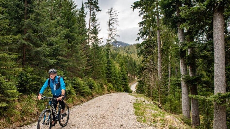 Mountainbike Buchsteinrunde Etappe 3 (Johnsbach - St. Gallen) - Touren-Impression #2.6 | © TV Gesäuse