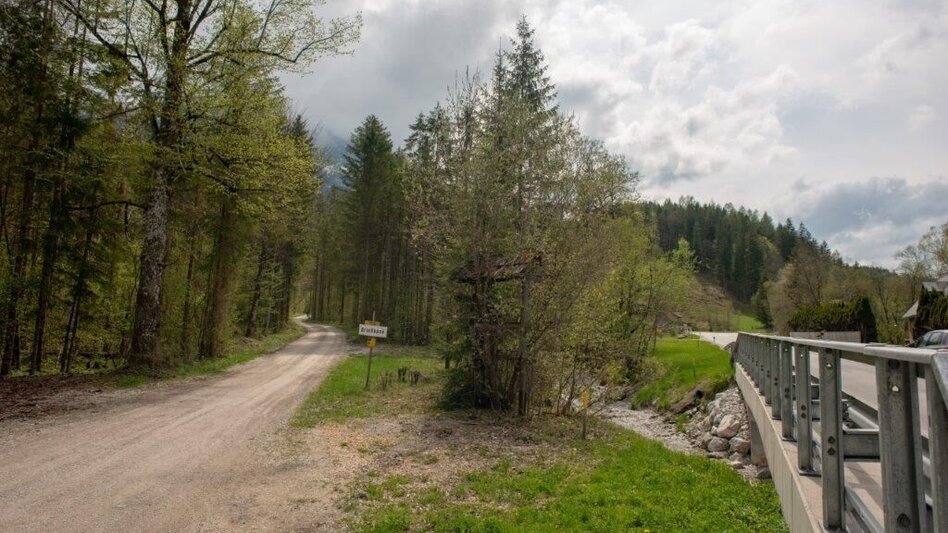 Mountainbike Buchsteinrunde Etappe 3 (Johnsbach - St. Gallen) - Touren-Impression #2.8 | © TV Gesäuse