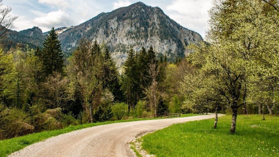 Mountainbike Buchsteinrunde Etappe 3 (Johnsbach - St. Gallen) - Touren-Impression #2.9 | © TV Gesäuse