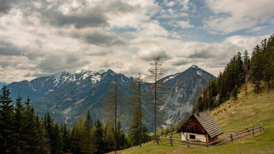 Mountainbike Buchsteinrunde Etappe 3 (Johnsbach - St. Gallen) - Touren-Impression #2.11 | © TV Gesäuse