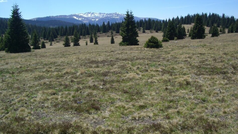 Pilgerweg 7. Etappe: Jakobsweg Weststeiermark - Touren-Impression #2.5 | © Schilcherland Steiermark