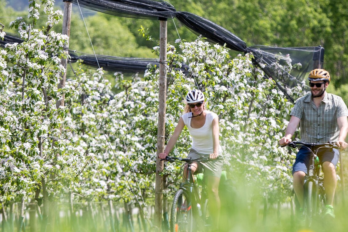 Bike Riding Apple tour WZ16, Floing - Touren-Impression #1 | © Steiermark Tourismus