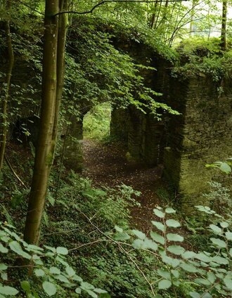 Ruine Neu Leonrod | Klaus Meitz | © Community