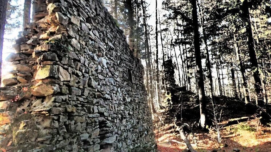 Hiking route Ruinen-Runde: Von Alt Leonroth bis Neu Leonroth - Touren-Impression #2.6 | © Region Graz