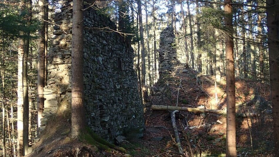 Hiking route Ruinen-Runde: Von Alt Leonroth bis Neu Leonroth - Touren-Impression #2.7 | © Region Graz
