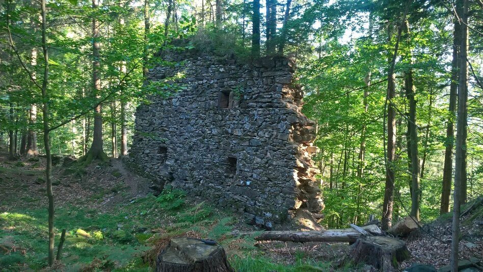 Hiking route Ruinen-Runde: Von Alt Leonroth bis Neu Leonroth - Touren-Impression #2.9 | © Region Graz