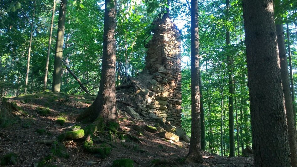 Hiking route Ruinen-Runde: Von Alt Leonroth bis Neu Leonroth - Touren-Impression #2.10 | © Region Graz
