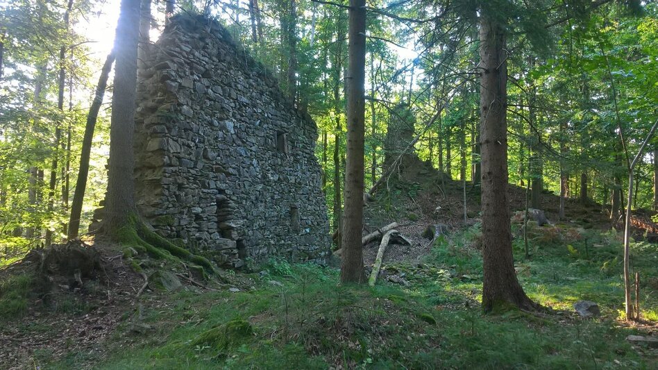 Hiking route Ruinen-Runde: Von Alt Leonroth bis Neu Leonroth - Touren-Impression #2.11 | © Region Graz