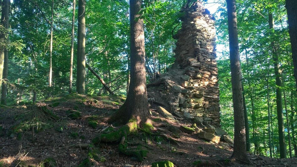 Hiking route Ruinen-Runde: Von Alt Leonroth bis Neu Leonroth - Touren-Impression #2.12 | © Region Graz