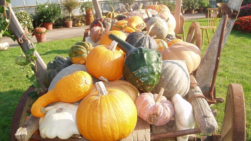 Wanderung KürWiesWeg - Touren-Impression #2.3 | © TVB/Südsteiermark/Tourismusbüro Wies