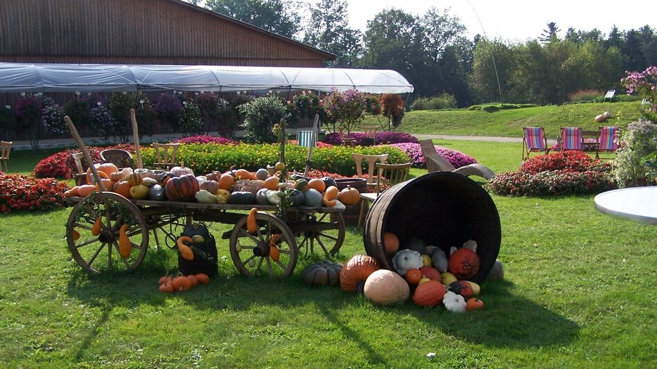 Wanderung KürWiesWeg - Touren-Impression #2.5 | © TVB/Südsteiermark/Nora Ruhri