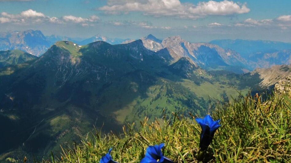 Bergtour Reiting - der Blumenberg - Touren-Impression #2.1 | © TV Hochsteiermark