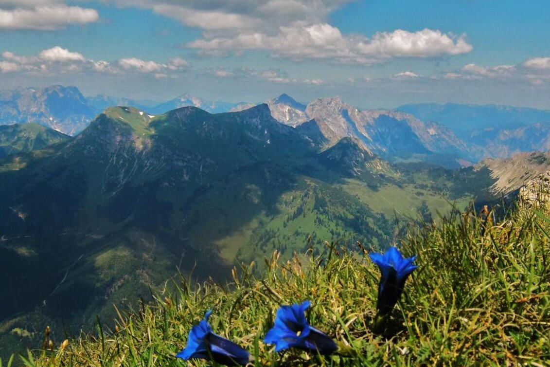 Bergtour Reiting - der Blumenberg - Touren-Impression #1 | © TV Hochsteiermark