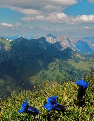 Gößeck - Gipfel | TV ERZBERG LEOBEN | © TV Hochsteiermark