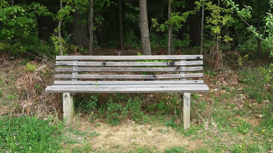 Hiking route Auf ins Tregisttal (1) - Touren-Impression #2.4 | © Region Graz