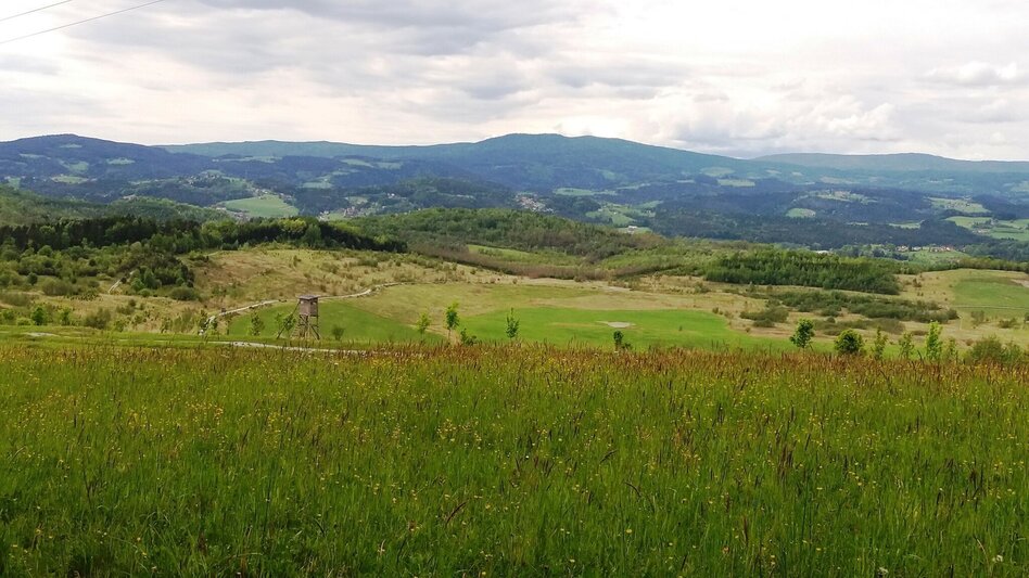 Hiking route Auf ins Tregisttal (1) - Touren-Impression #2.5 | © Region Graz