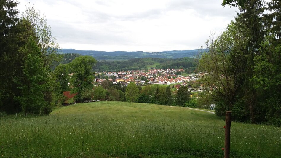 Hiking route Auf ins Tregisttal (1) - Touren-Impression #2.8 | © Region Graz