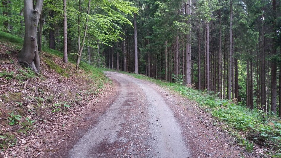 Hiking route Auf ins Tregisttal (1) - Touren-Impression #2.10 | © Region Graz