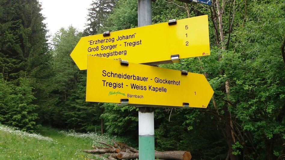 Hiking route Auf ins Tregisttal (1) - Touren-Impression #2.11 | © Region Graz