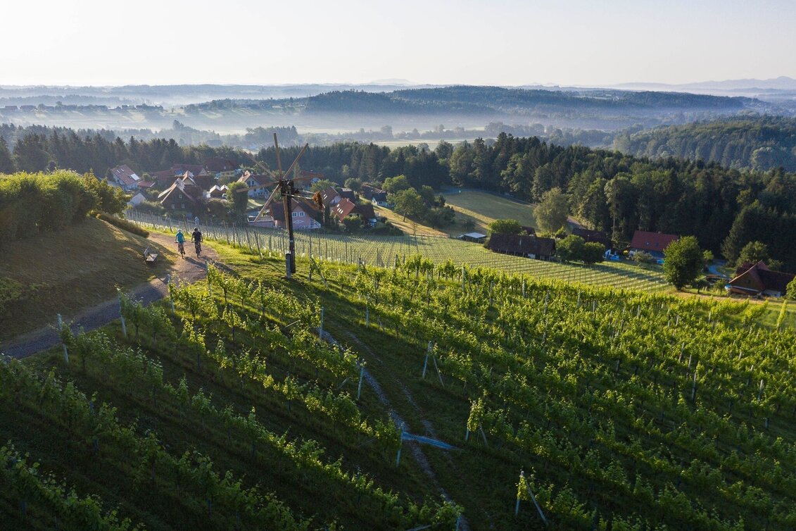 Bike Riding Ölspur-große Familientour - Touren-Impression #1 | © TVB Südsteiermark - Schilcherland Steiermark