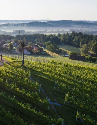 Radfahren im Schilcherland | TVB Südsteiermark - Schilcherland Steiermark | © TVB Südsteiermark - Schilcherland Steiermark