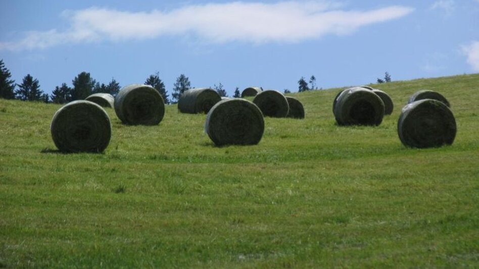 Hiking route Pölzlweg - Touren-Impression #2.2 | © agentur.smac
