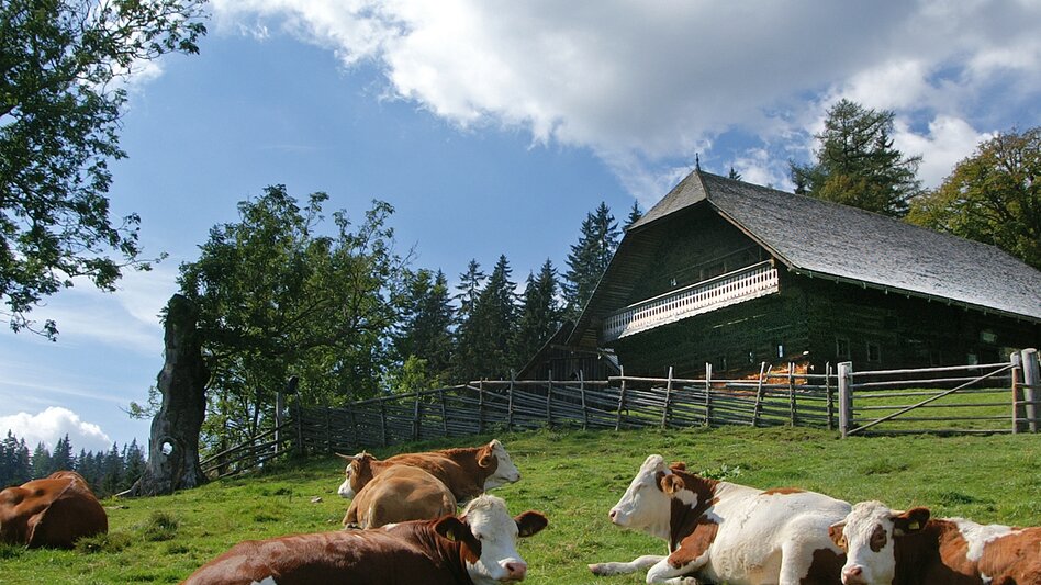 Pilgrim Walk Mariazeller Weg 8. Tagesetappe B - Touren-Impression #2.1 | © TV Hochsteiermark
