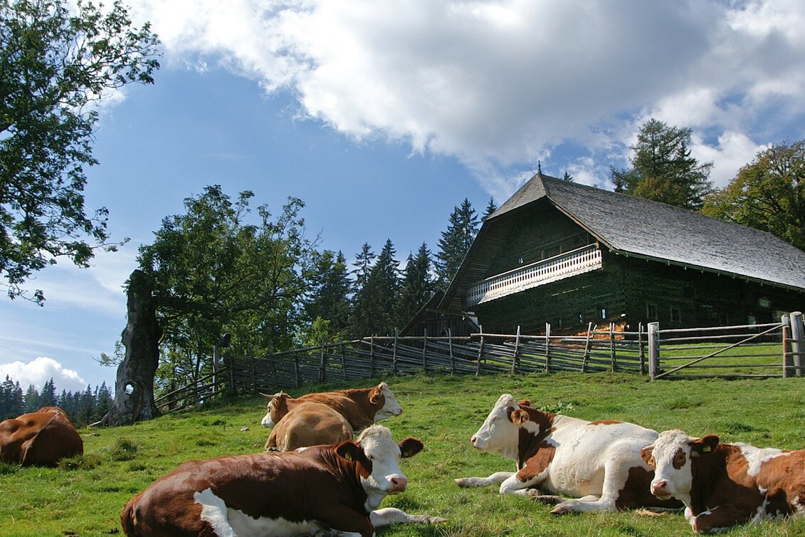 Pilgrim Walk Mariazeller Weg 8. Tagesetappe B - Touren-Impression #1 | © TV Hochsteiermark