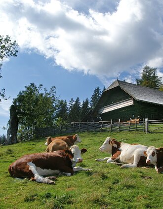 Geburtshaus mit Vieh auf der Sommerweide | Jakob Hiller | © TV Hochsteiermark