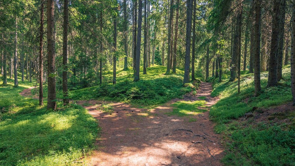Hiking route Kalkberg-Runde - Touren-Impression #2.3 | © TVB Murau