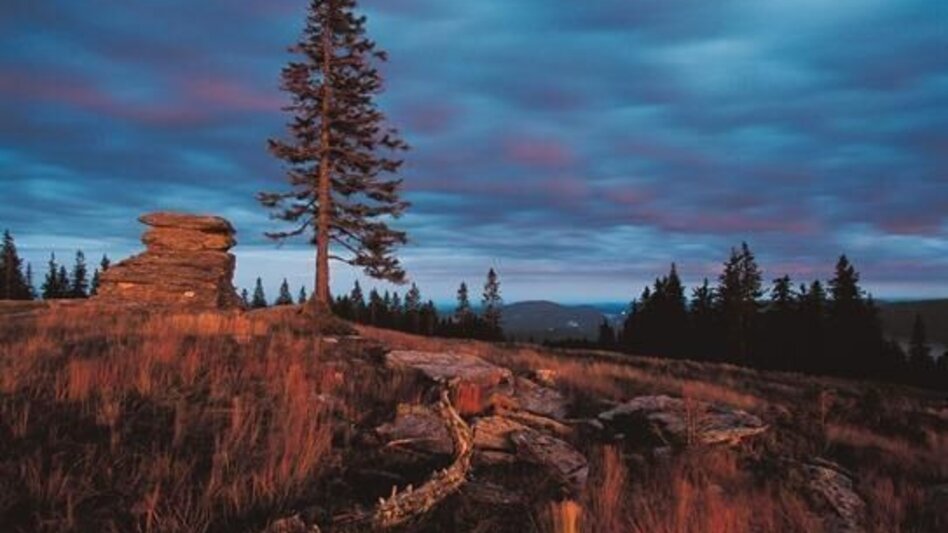 Wanderung Zu Gast beim Teufel und auf der Waldtonialm, Fischbach - Touren-Impression #2.2 | © Oststeiermark Tourismus