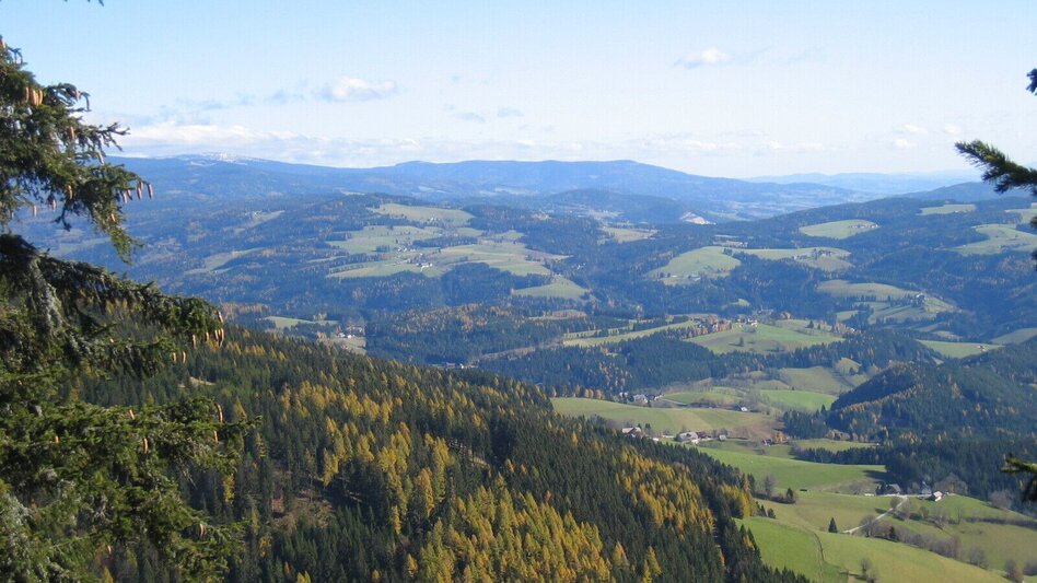 Wanderung Zu Gast beim Teufel und auf der Waldtonialm, Fischbach - Touren-Impression #2.4 | © Oststeiermark Tourismus