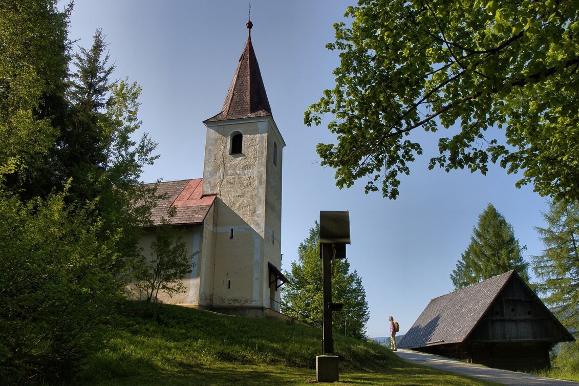 Hiking route Oswalder Rundweg– Tour 52 lt. WK „Von der Alm zum Wein“ - Touren-Impression #1 | © TV Südsteiermark - WEGES