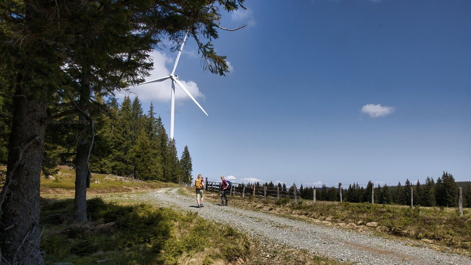 Hiking route Oswalder Rundweg– Tour 52 lt. WK „Von der Alm zum Wein“ - Touren-Impression #2.2 | © TV Südsteiermark - WEGES