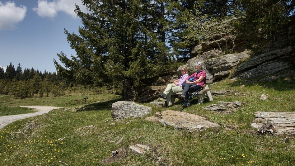 Hiking route Oswalder Rundweg– Tour 52 lt. WK „Von der Alm zum Wein“ - Touren-Impression #2.7 | © TV Südsteiermark - WEGES