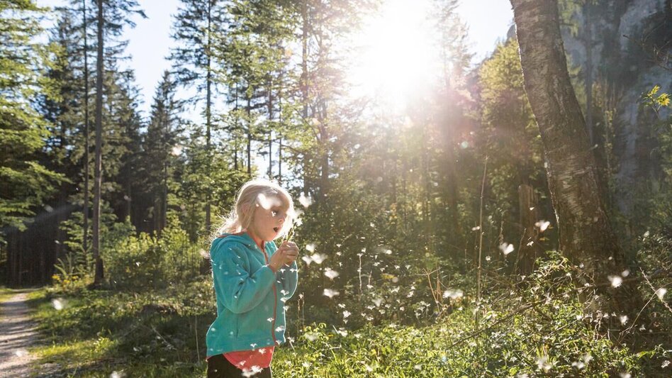 Regional hiking trail Nature trail Rauchboden - Touren-Impression #2.11 | © TV Gesäuse