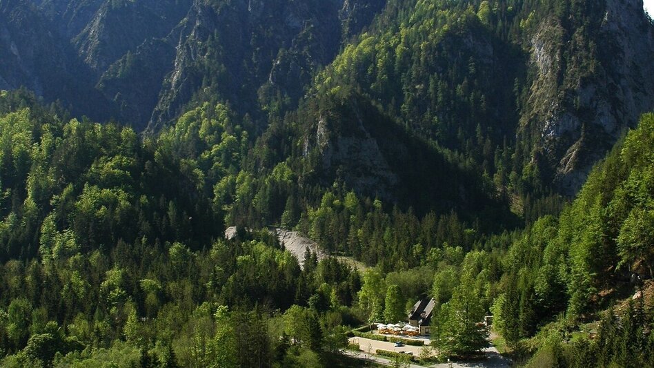 Regional hiking trail Nature trail Rauchboden - Touren-Impression #2.4 | © TV Gesäuse