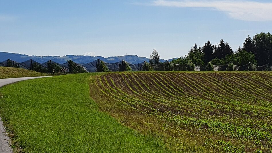 Bike Riding Ilztal Cycle Path R10 - Touren-Impression #2.1 | © (c) Günther Steininger