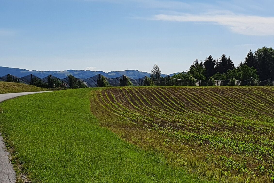 Bike Riding Ilztal Cycle Path R10 - Touren-Impression #1 | © (c) Günther Steininger