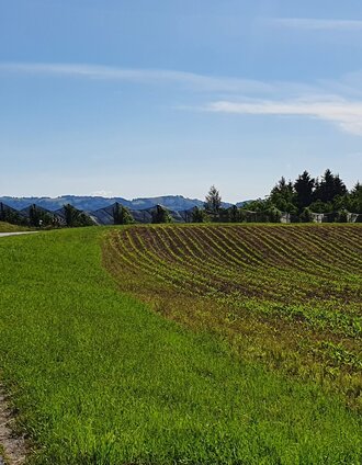 Ilztalradweg (c) Steininger | Günther Steininger | © (c) Günther Steininger