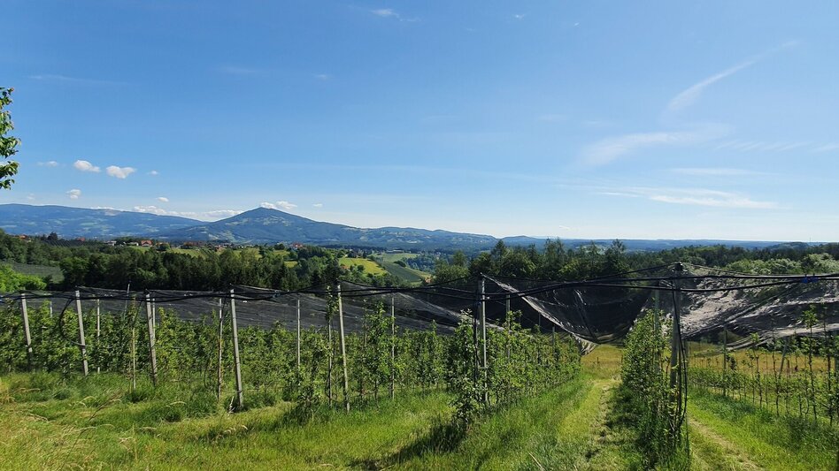 Bike Riding Ilztal Cycle Path R10 - Touren-Impression #2.6 | © (c) Günther Steininger