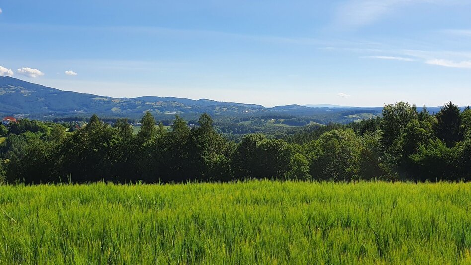 Bike Riding Ilztal Cycle Path R10 - Touren-Impression #2.7 | © (c) Günther Steininger