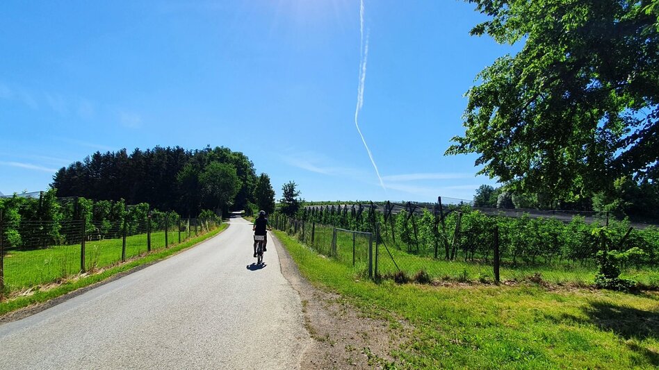 Bike Riding Ilztal Cycle Path R10 - Touren-Impression #2.8 | © (c) Günther Steininger