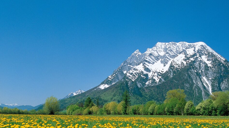 Bike Riding Stage 02 Enns Cycle Path Schladming - Irdning - Touren-Impression #2.6 | © Steiermark Tourismus/bigshot.at