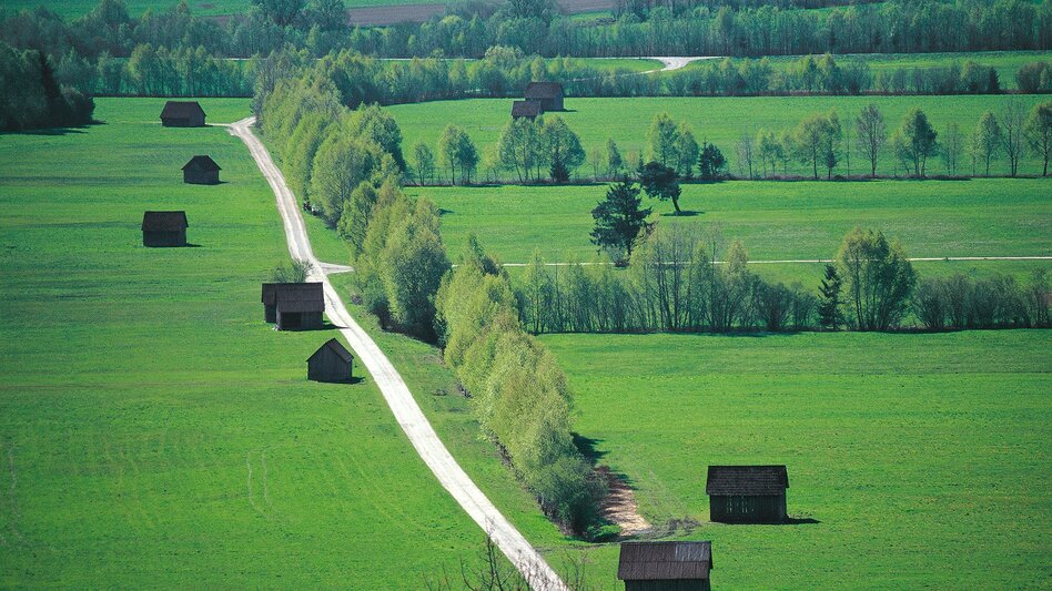 Bike Riding Stage 02 Enns Cycle Path Schladming - Irdning - Touren-Impression #2.7 | © Steiermark Tourismus/Gery Wolf